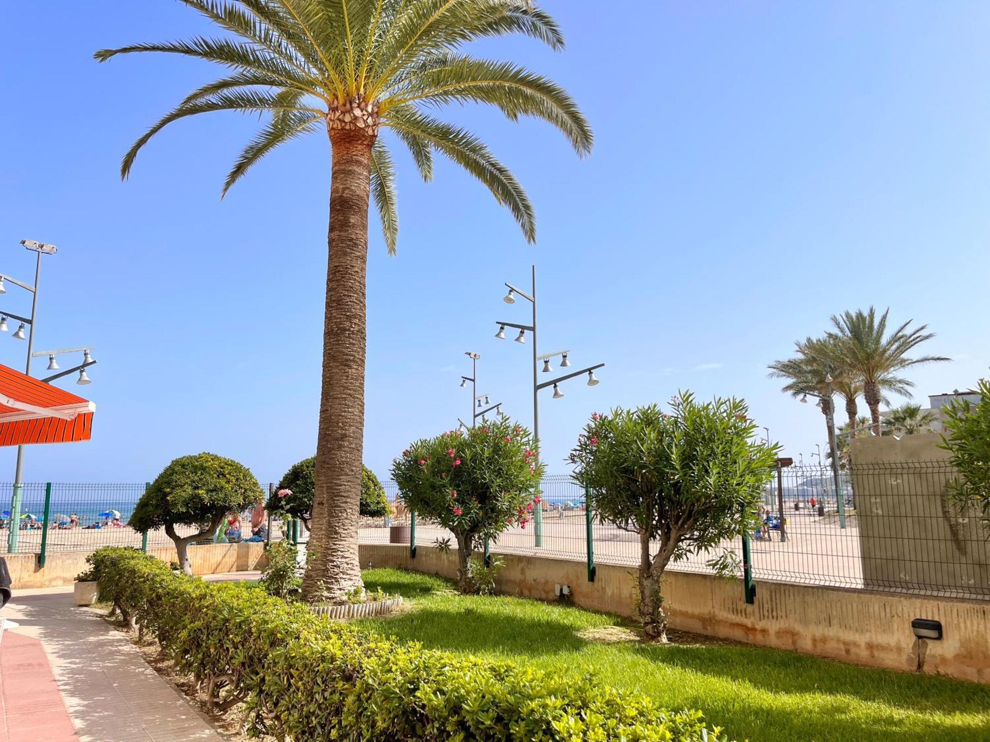 Mediterranean Way - Paradis Playa Apartment Ла Пинеда Екстериор снимка